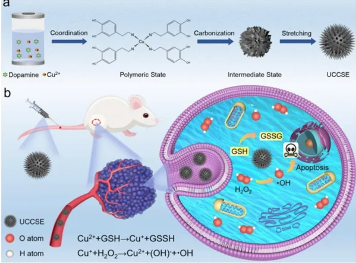 截屏2025-12-11 10.17.02.png 截屏2025-12-11 10.17.02.png