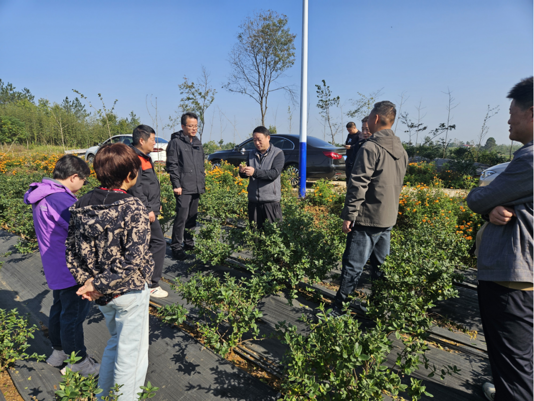 1729820296487.jpg 1729820296487.jpg